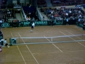 Daviscup 08- Österreich vs Amerika 34023036