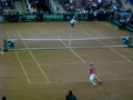 Daviscup 08- Österreich vs Amerika 34023152