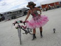 Burning Man Festival 29459966