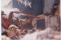 La Tomatina 2006 10650993