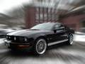 Mustang 4046707