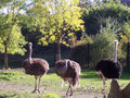 Ausflug Tierpark Schmiding Sept. 2006 10126977