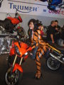 Bike 2008 33702073