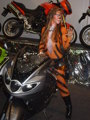 Bike 2008 33702188
