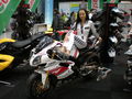 Bike 2009 53302557