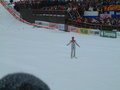 Planica 17783496