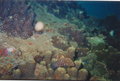 Unterwasseraufnahmen 18194536