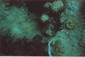 Unterwasseraufnahmen 18194552