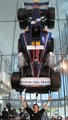 RED BULL Technology 29353810