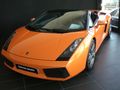 Besuch Lamborghini Wien 19.08.08 43595930