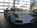 Besuch Lamborghini Wien 19.08.08 43596583