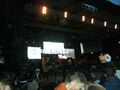 Donauinselfest 2009 62164783