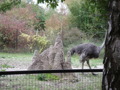 Tierpark Schmiding 29770806