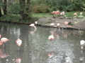 Tierpark Schmiding 29770822