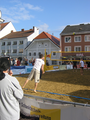 Beachvolleyball Tunier 7003368