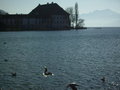 Sonntagsausflug mim Schatzl am Attersee 15698685