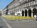 Venedig 2009 65868479