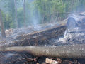 Waldbrand Reichraming 2007 46416637