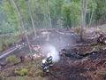 Waldbrand Reichraming 2007 46416663