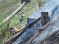 Waldbrand Reichraming 2007 46416683