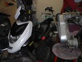 Mopeds 49455015