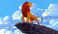 Lion King ! 54797042