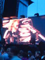 Bon Jovi 2008 39549103