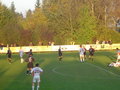 St. Florian - FC Wels 14760029