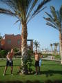 Sharm el Sheikh 7004345