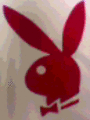 PLAYBOYS 4493506