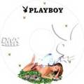 PLAYBOYS 4493527
