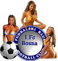 Bosna 4140443