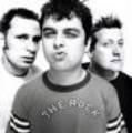 Greenday 5629665