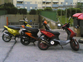 _DiE_MoPeD´s_VoN_mEiNeN_fReUnDeN_ 15798851