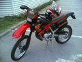 _DiE_MoPeD´s_VoN_mEiNeN_fReUnDeN_ 15798852