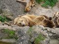 Tierpark Fotos 14767052