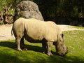 Tierpark Fotos 14767215