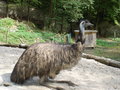 Tierpark Fotos 14767247