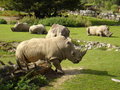 Tierpark Fotos 14767297