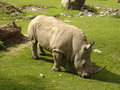 Tierpark Fotos 14767362