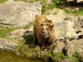 Tierpark Fotos 14767422