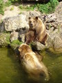 Tierpark Fotos 14767526