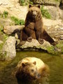 Tierpark Fotos 14767576