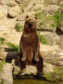 Tierpark Fotos 14767635
