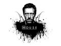 DR. HOUSE 30349397