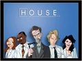 DR. HOUSE 32000345