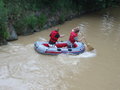 IPFBACHRAFTING 20916155