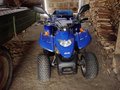 Meine Moped 14160804