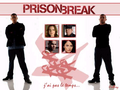 ++++Prison Break++++ 25221368