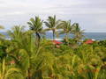 Bali Urlaub Silvester 04/05 4212322